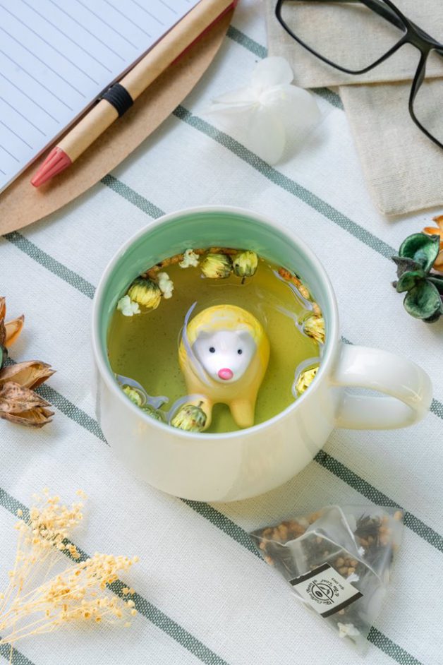 53833655_10157056246174493_2624813445555421184_n-628x942