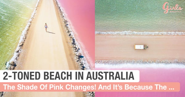 One Of The Most Amazing Place On Earth!Cactus BeachWill Steal Your Heart  And Here's