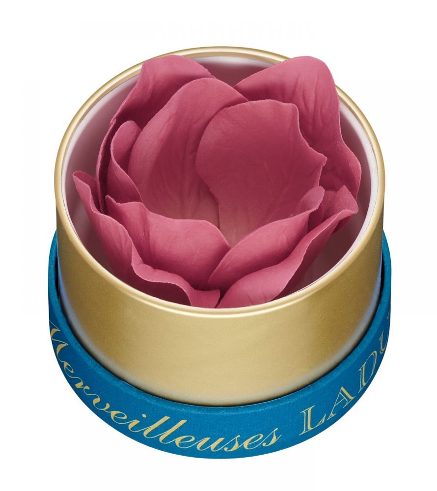 20190319164942__99cb5b3a090d0a5efa0f6b5fae99fa54