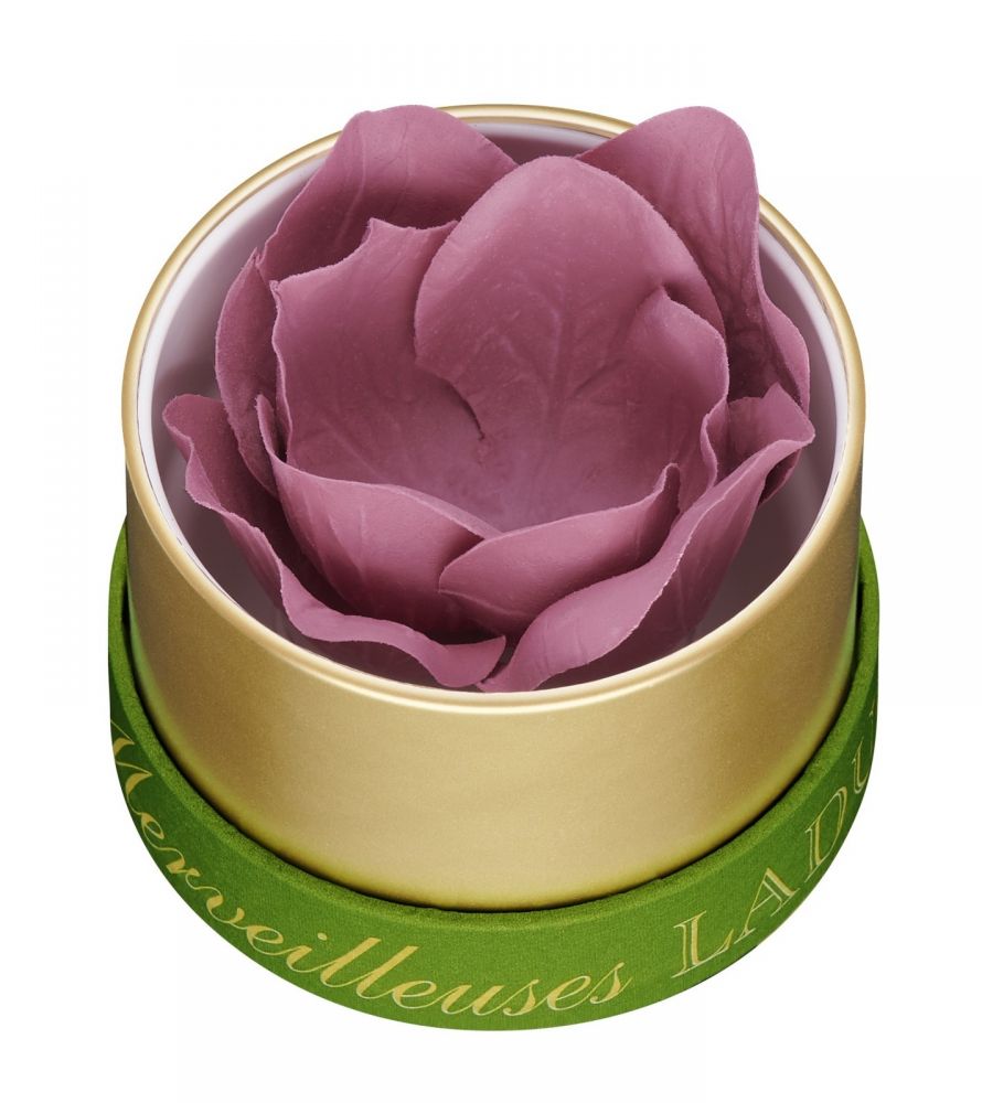 20190319164943__c81e728d9d4c2f636f067f89cc14862c