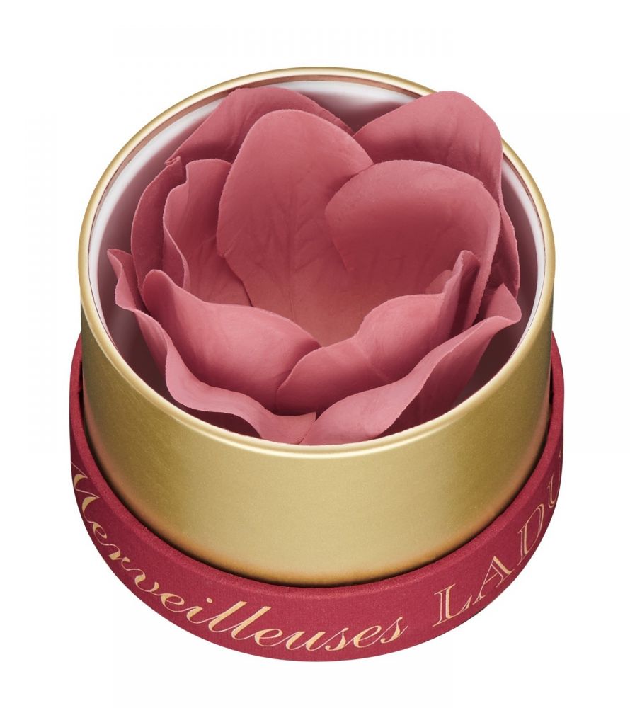 20190319164944__dadf9f52457fefa3c63bd7b573418009