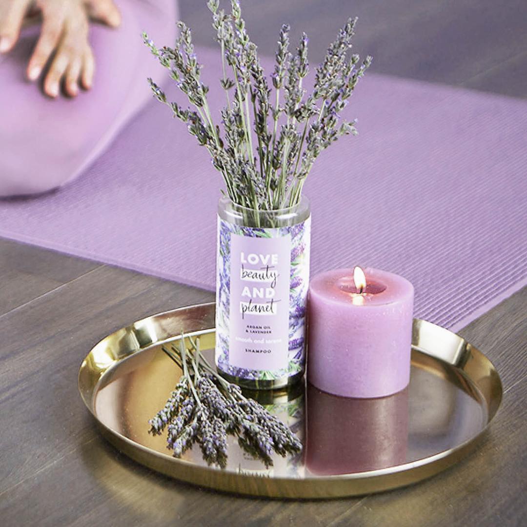 53830486_298812044119447_7738906362812569597_n