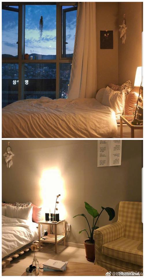 55589285_2146128652365790_6728514861338198016_n