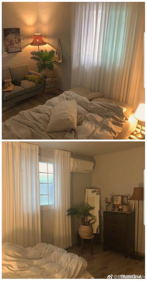 55711687_2146128565699132_6094576584642002944_n