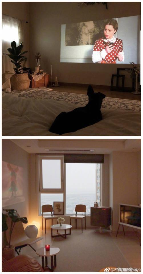 55790142_2146128679032454_5382962724886020096_n