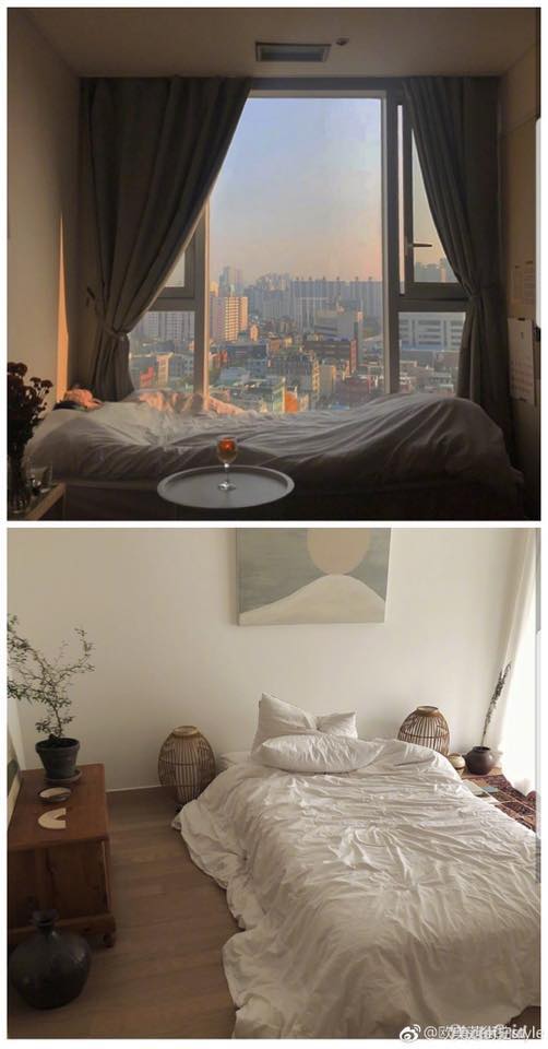 55875438_2146128525699136_6871104373951299584_n