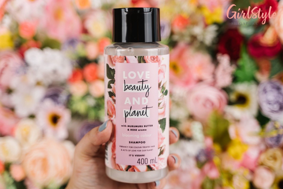 57456856_2379740635390885_4322044277367504896_n