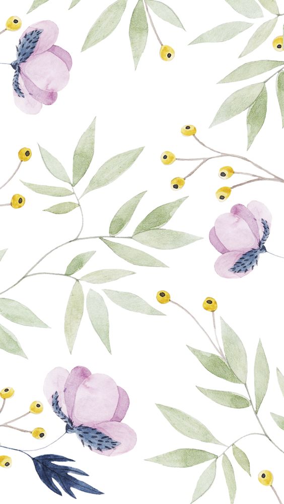 7a5164e667c6ea16cb7a9ccb8fe06c2e