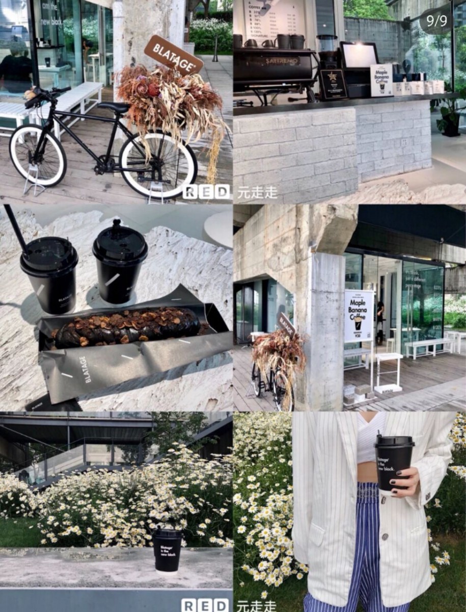 photo6190442381153773871