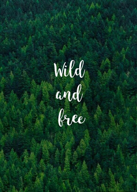 04f1f10c425087295387fe2c72e95e75