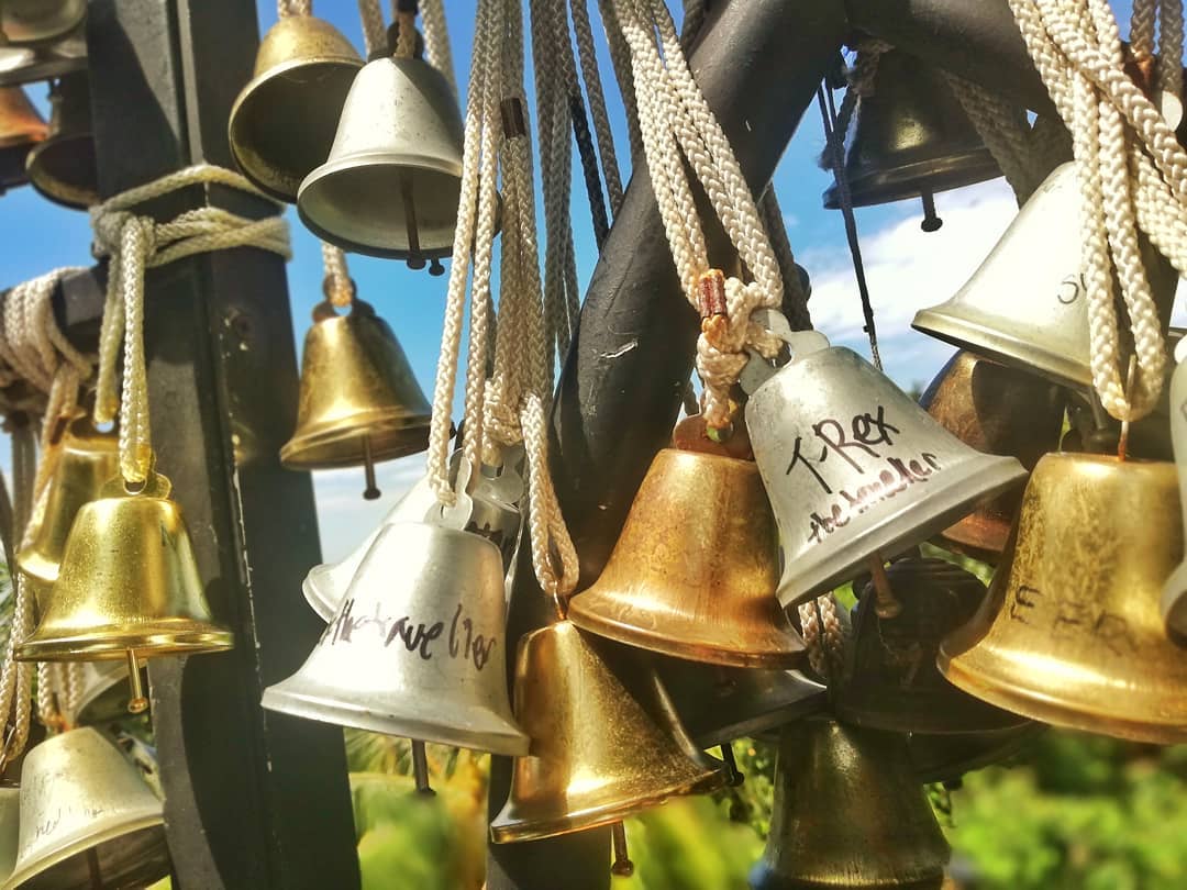 @t.rex_thetraveller (via Instagram)