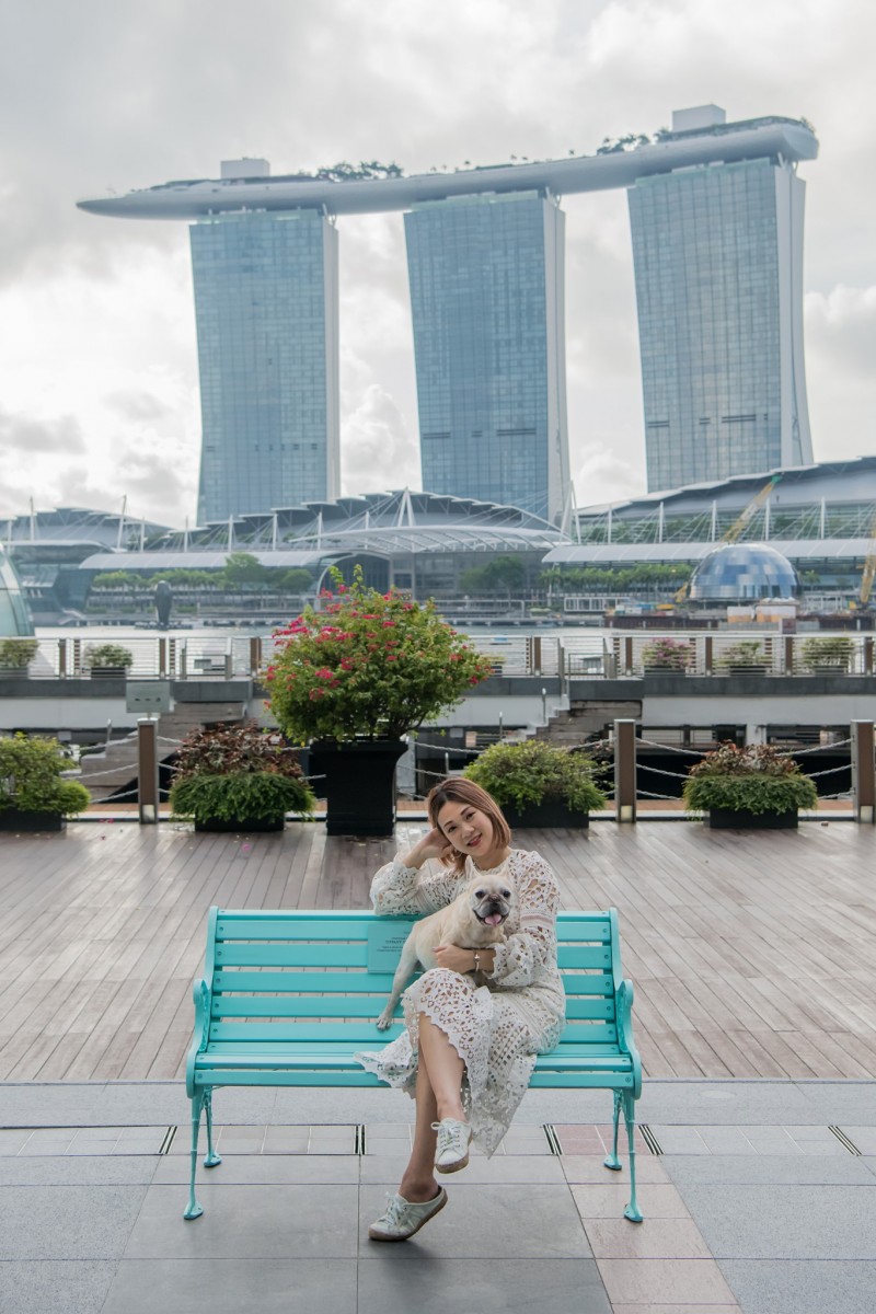 60509607_10156630933793068_7437575590669975552_o