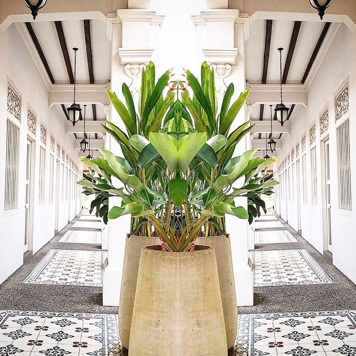 12959961_221051978272527_34257628_n