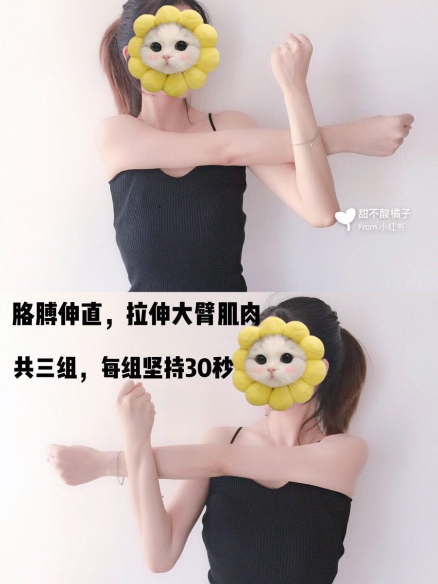 190a53ed-ce11-3eee-95f4-71f60c712e1a