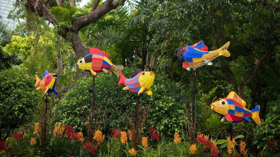 67607043_449483532447416_918800303271182336_n