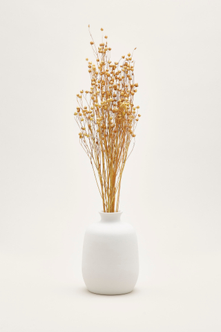 hana_10_plant_3