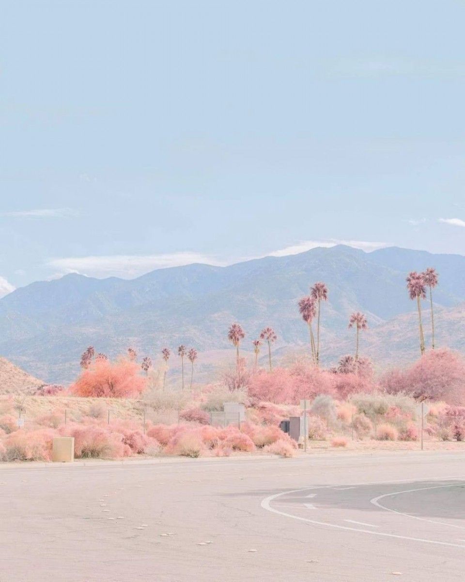 photo6201657429821860008