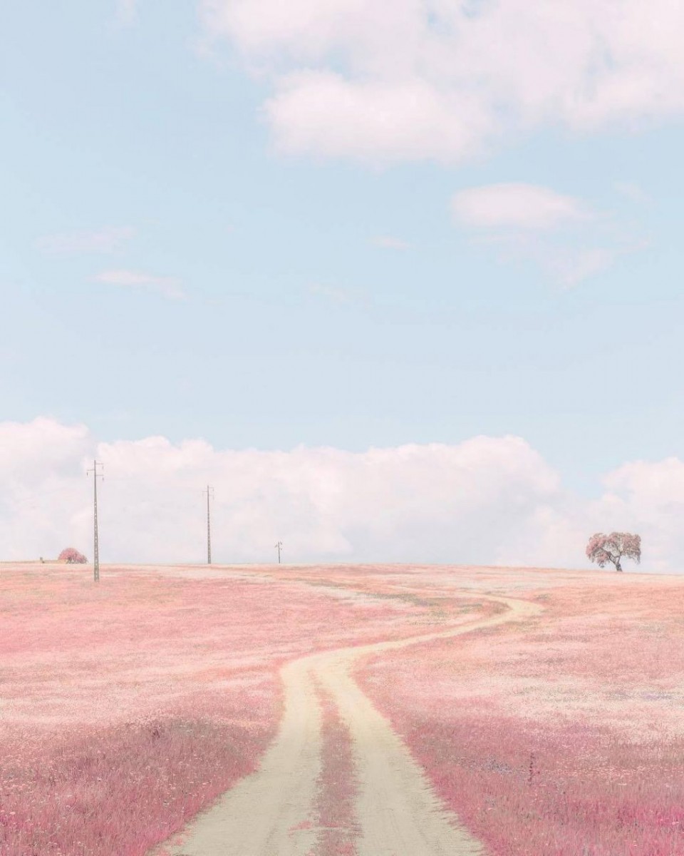 photo6201734245311949036