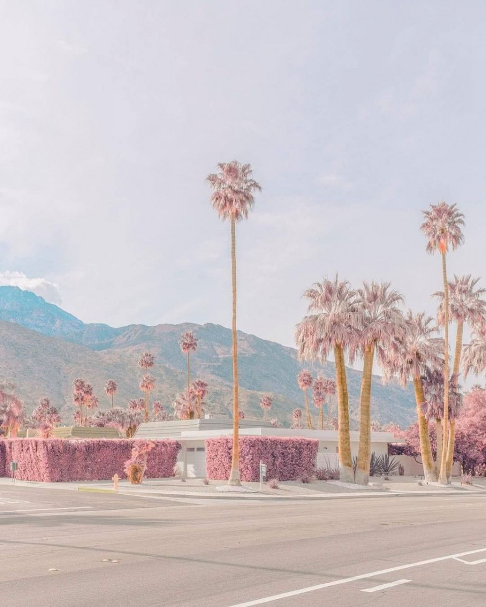 photo6201734245311949037