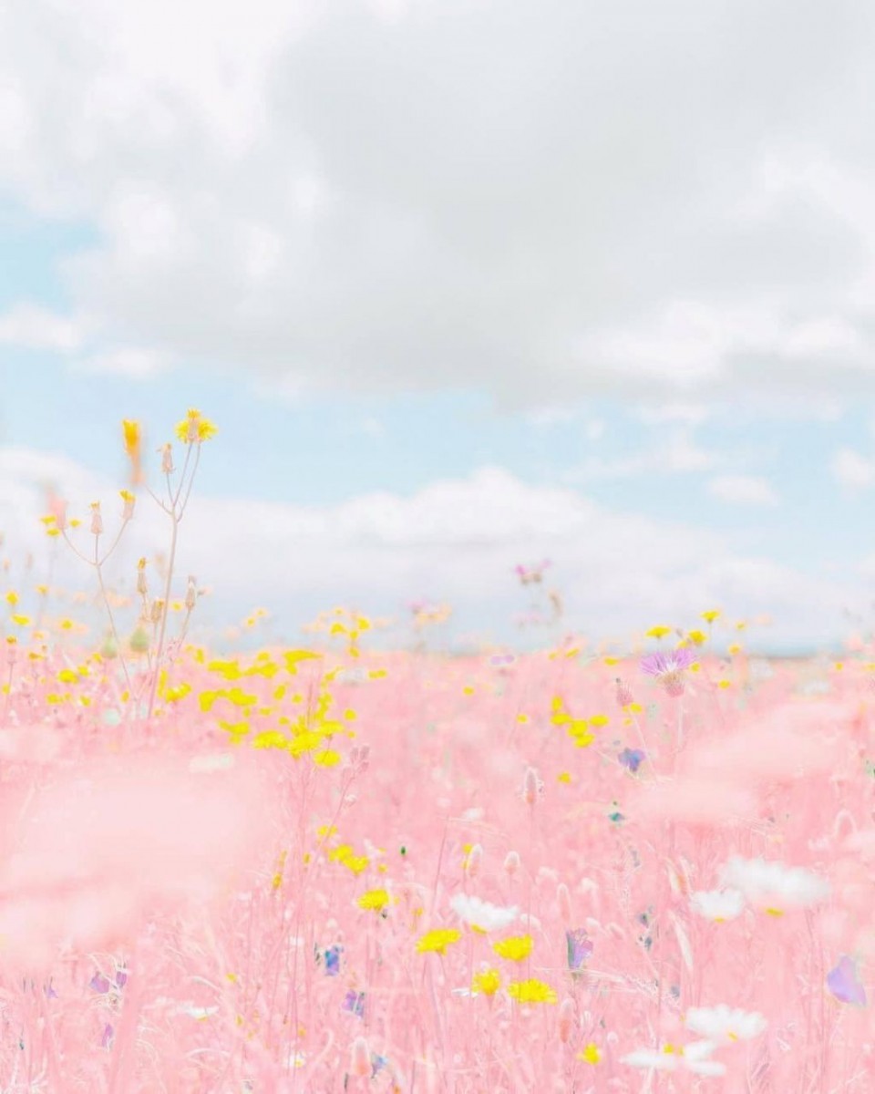 photo6201734245311949038