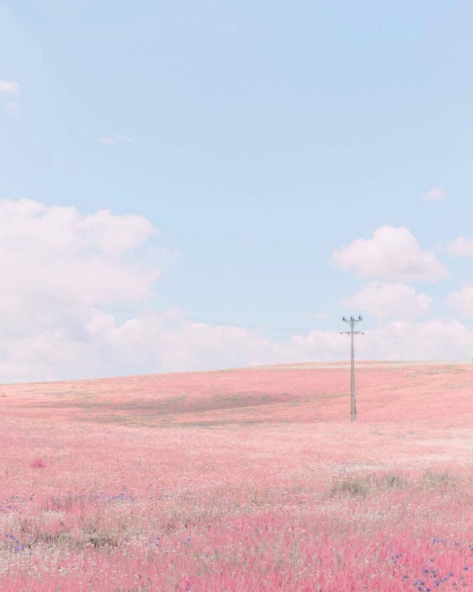 photo6201734245311949040