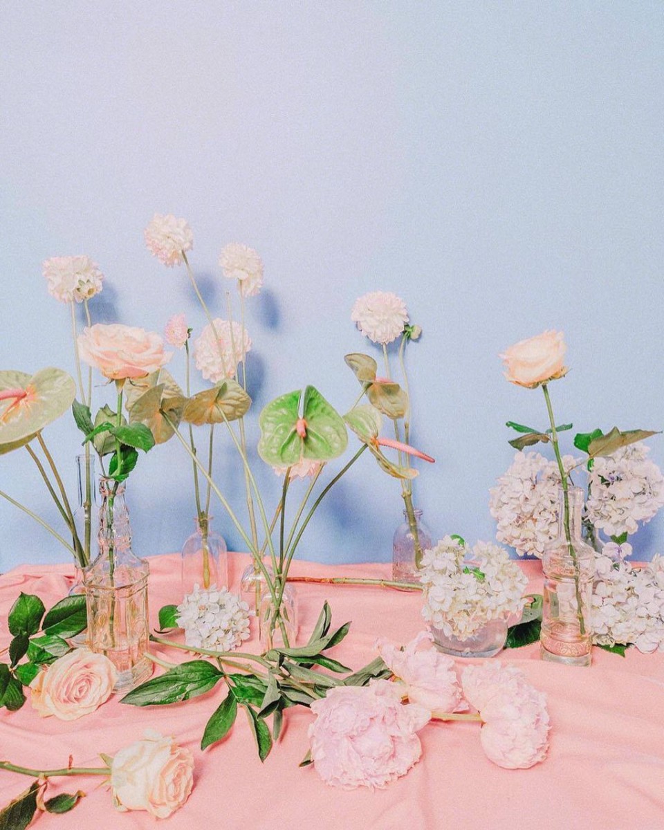 photo6206237844939319621