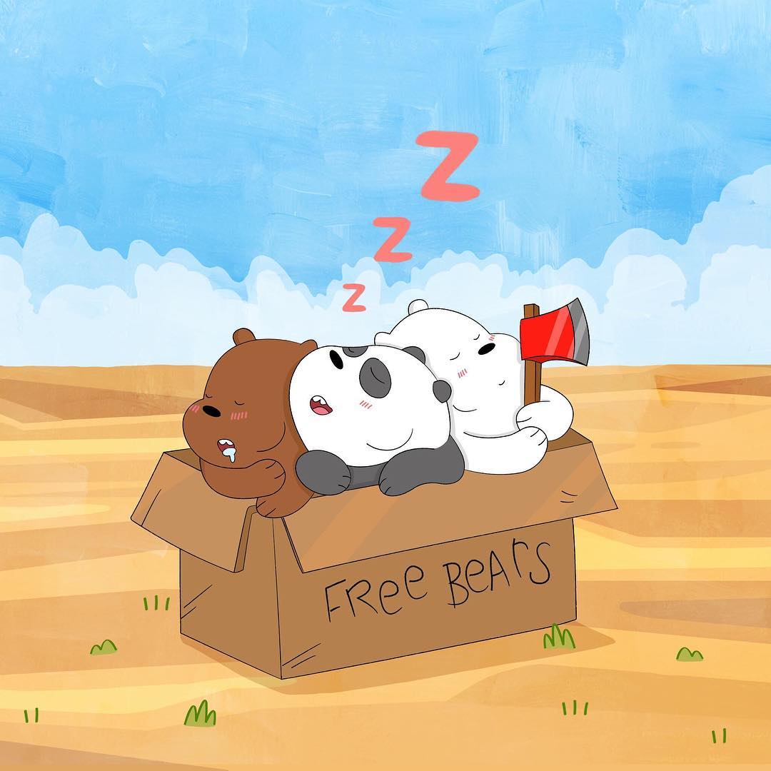 37224359_212161032805539_300767024911482880_n