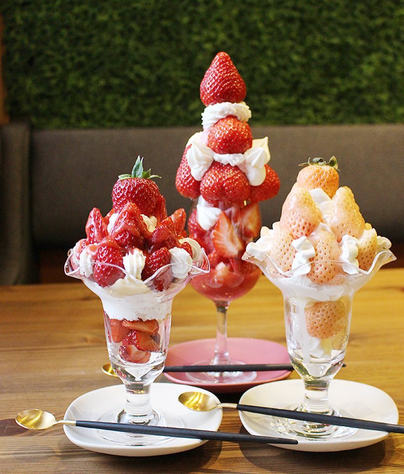 47694593_589590718132087_3555133010206086607_n