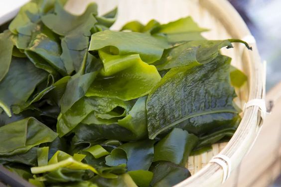 Seaweed