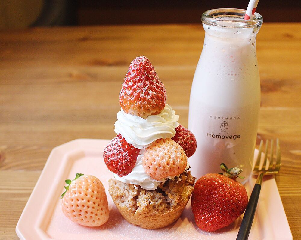 51579896_242165903401646_5271766173509348864_n