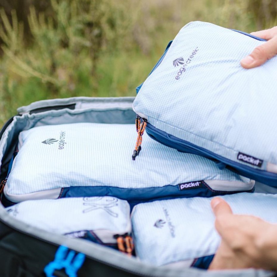 60918464_2410712509210045_3779493191778779739_n