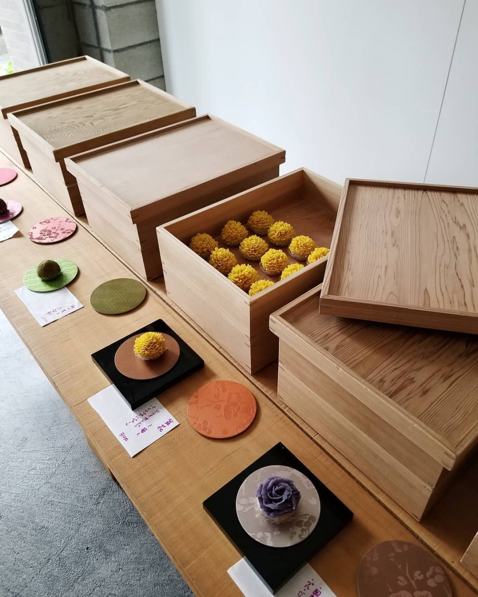 66609275_508349819936928_8302142015471461601_n