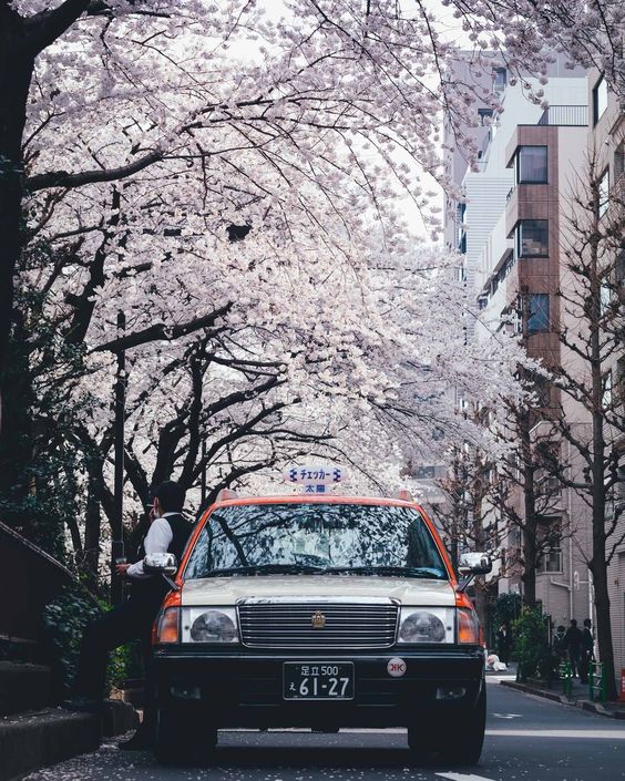 8b2558a7e1d4d048feb8ce88cd9a67ee