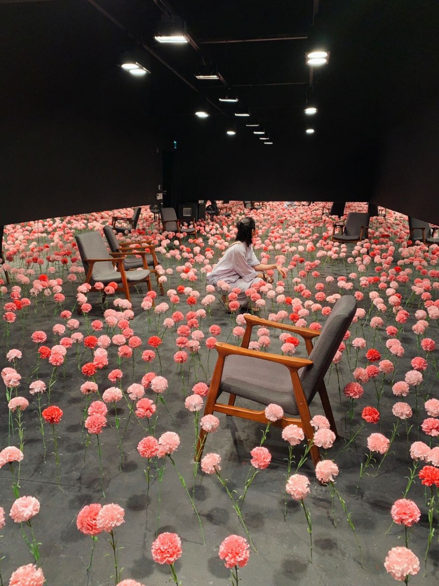 photo6070880773784840422