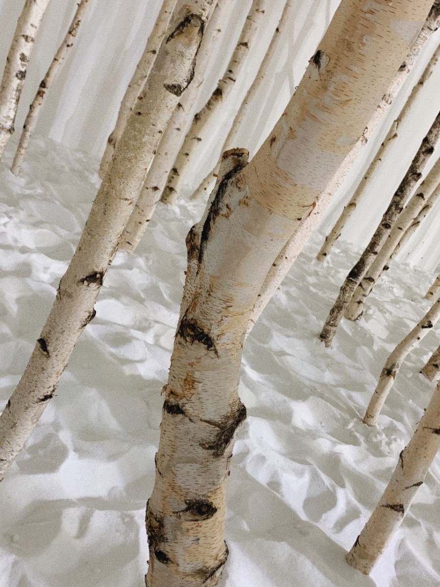 photo6070880773784840423