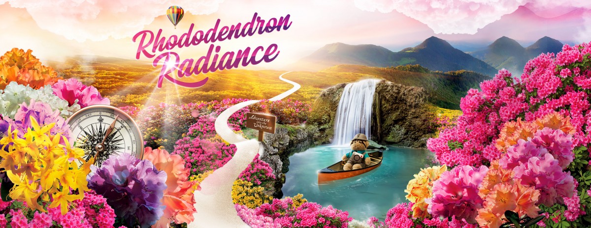 Rhododendron Radiance at GBTB