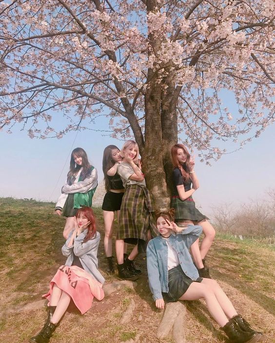 Group of girl friends under a sakura tree