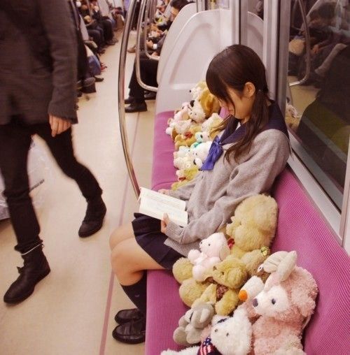 japanese girl reading in train with soft toys seated next to her