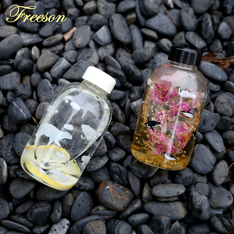 Creative Polar Bear Penguin Glass Water Bottle Cute Animal Ice Bottles Cartoon Camping Sport Bottle 