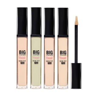 Etude House big cover skin fit concealer PRO