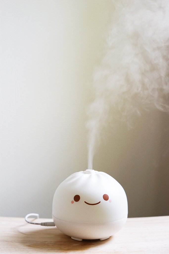 Dumpling diffuser and humidifier