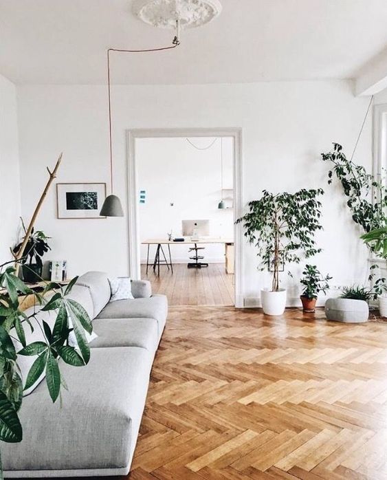 Minimalist home with greenery