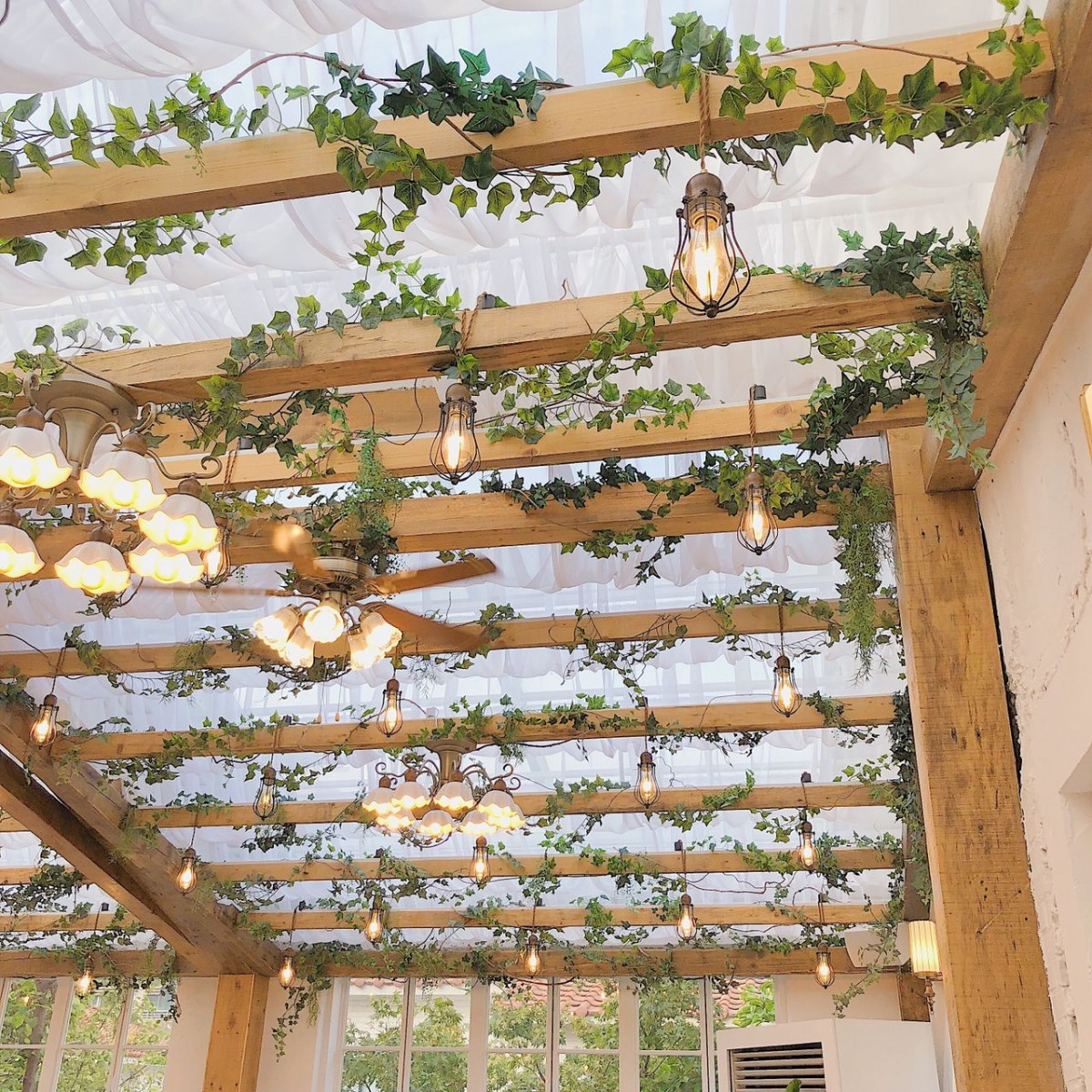 beams with green foliage