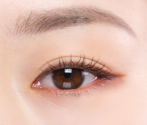 Fig Flat Liner close up eye makeup look