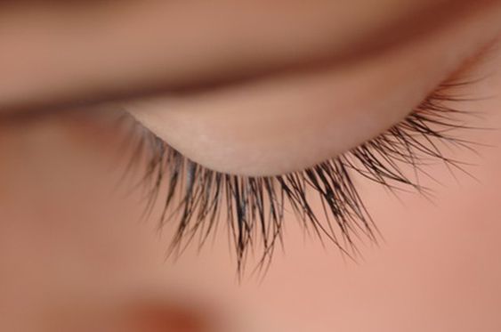 Top shot of eyelashes