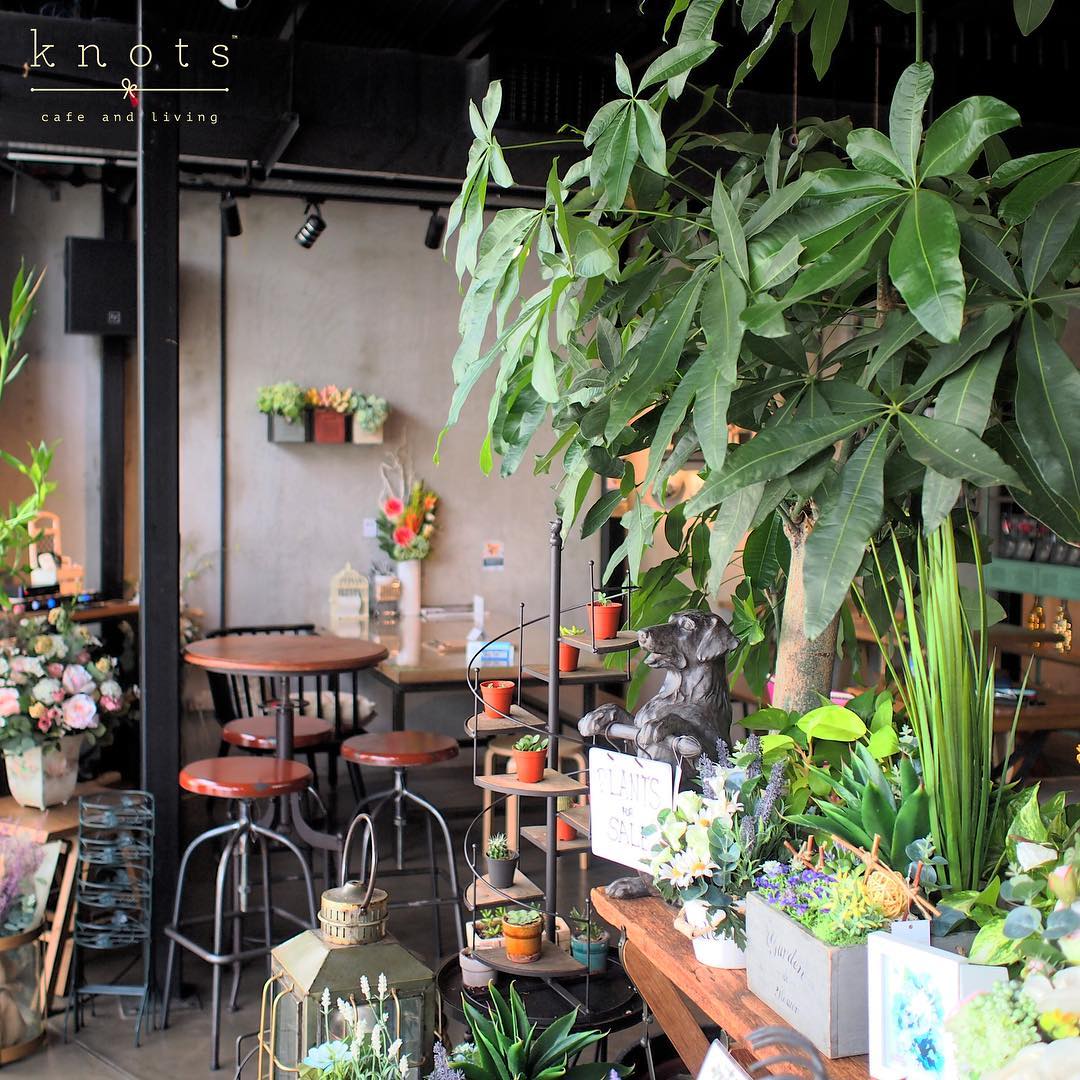 Interior of Knots Cafe and Living