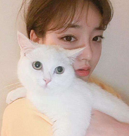 asian girl holding a white cat
