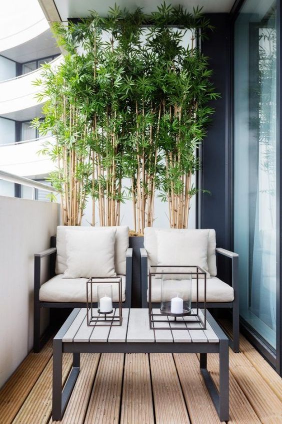 cosy seating area at balcony with bamboo plants