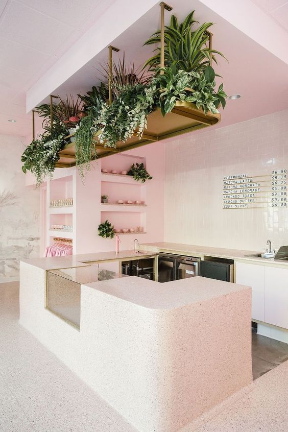 pink kitchen with hanging plants