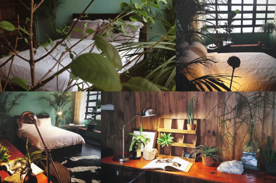 Photo collage of The Wolf room
